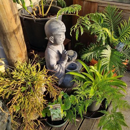 فندق تي كويتيفي  Raven'S Rest المظهر الخارجي الصورة